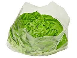  LDPE 15x12 Vented Lettuce Bag 380x300